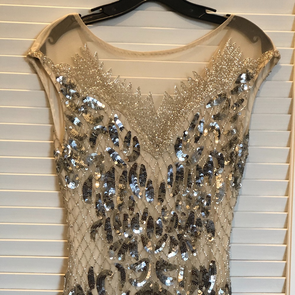 Parker Black Tonia Sequined Silver Gown